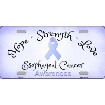Esophageal Cancer Ribbon Metal License Plate